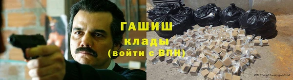 индика Белокуриха