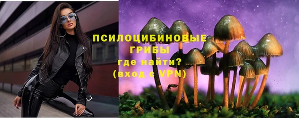 мяу мяу мука Богданович