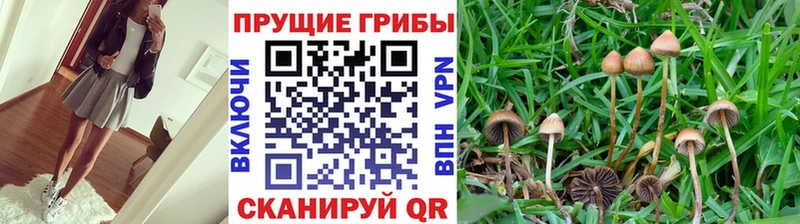 Галлюциногенные грибы ЛСД  Борзя 