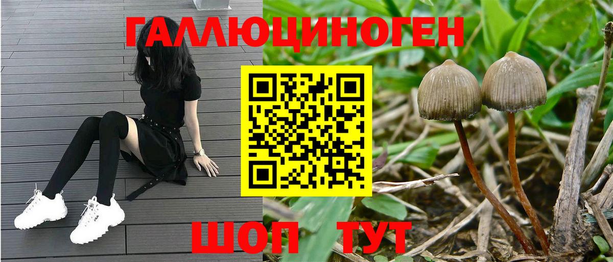 Галлюциногенные грибы MAGIC MUSHROOMS  Вход с VPN  Борзя 