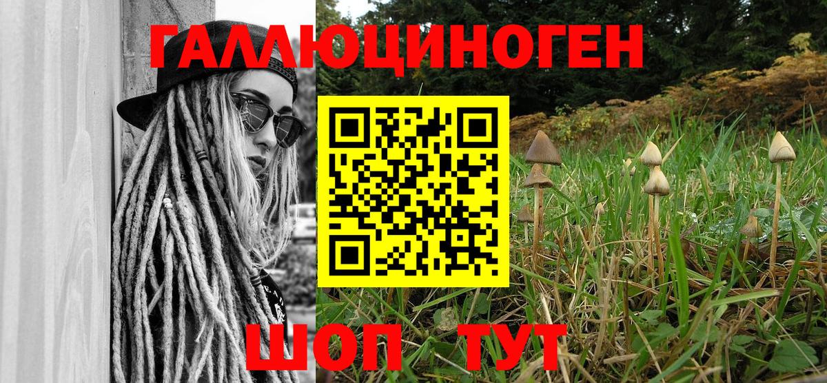 Галлюциногенные грибы Cubensis Борзя
