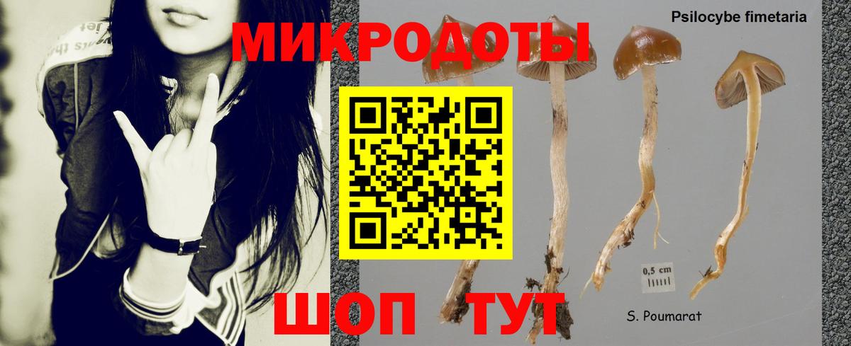 Галлюциногенные грибы Cubensis  Псилоцибиновые грибы Psilocybe  Борзя 