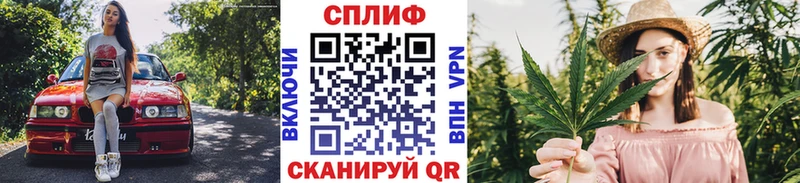 Марихуана конопля Борзя